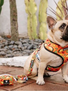 French Bulldog Avocado & Taco Print Harness and Leash Set
